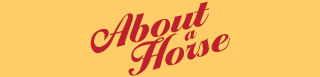 About A Horse